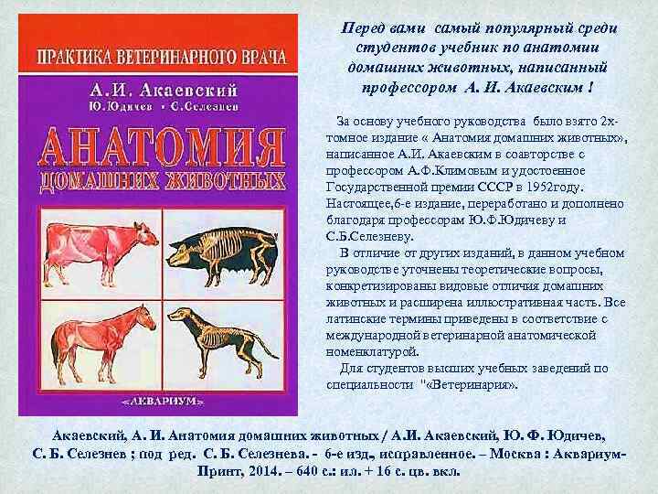 Перед вами самый популярный среди студентов учебник по анатомии домашних животных, написанный профессором А.