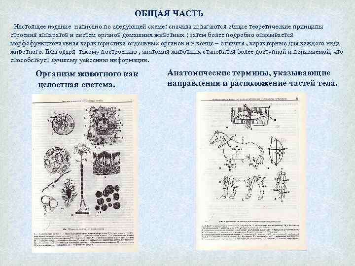 ОБЩАЯ ЧАСТЬ Настоящее издание написано по следующей схеме: сначала излагаются общие теоретические принципы строения