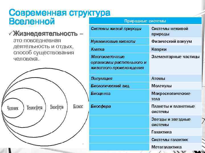 Современная структура Вселенной ü Жизнедеятельность – это повседневная деятельность и отдых, способ существования человека.