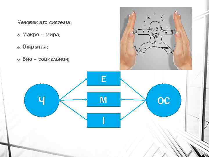 Человек это система: o Макро – мира; o Открытая; o Био – социальная; E