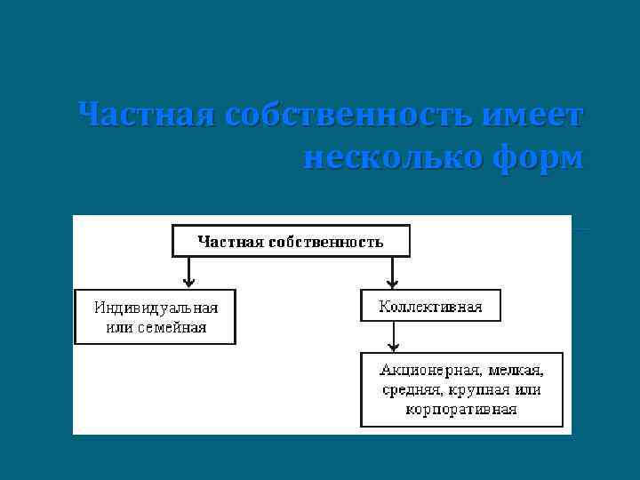 Частная собственность имеет несколько форм 