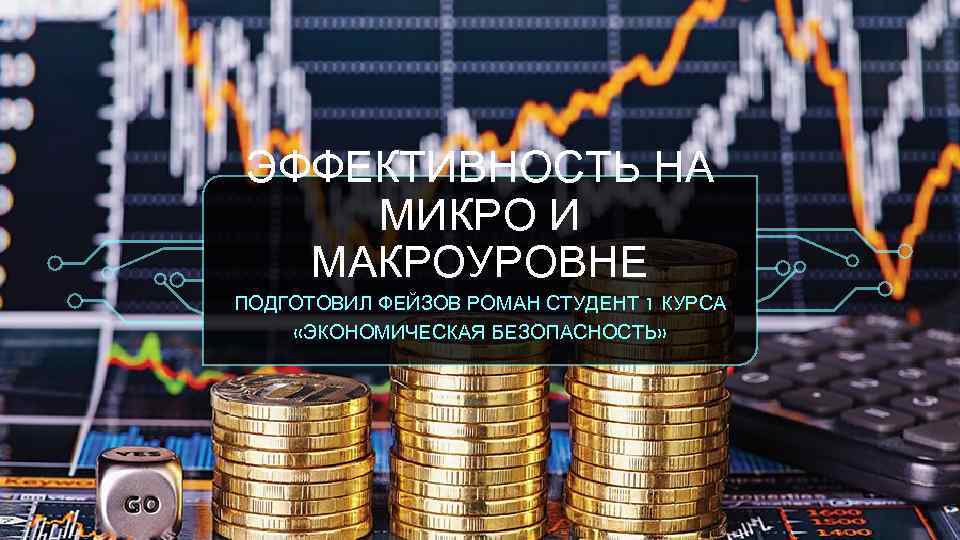 ЭФФЕКТИВНОСТЬ НА МИКРО И МАКРОУРОВНЕ ПОДГОТОВИЛ ФЕЙЗОВ РОМАН СТУДЕНТ 1 КУРСА «ЭКОНОМИЧЕСКАЯ БЕЗОПАСНОСТЬ» 