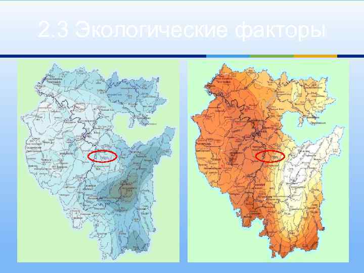 2. 3 Экологические факторы 