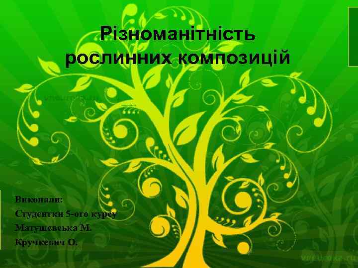 Різноманітність рослинних композицій Виконали: Студентки 5 -ого курсу Матушевська М. Кручкевич О. 