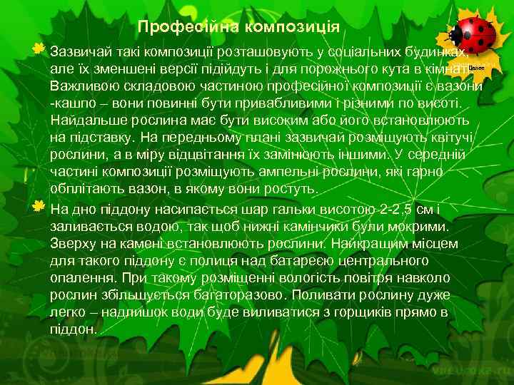 Професійна композиція Зазвичай такі композиції розташовують у соціальних будинках, але їх зменшені версії підійдуть