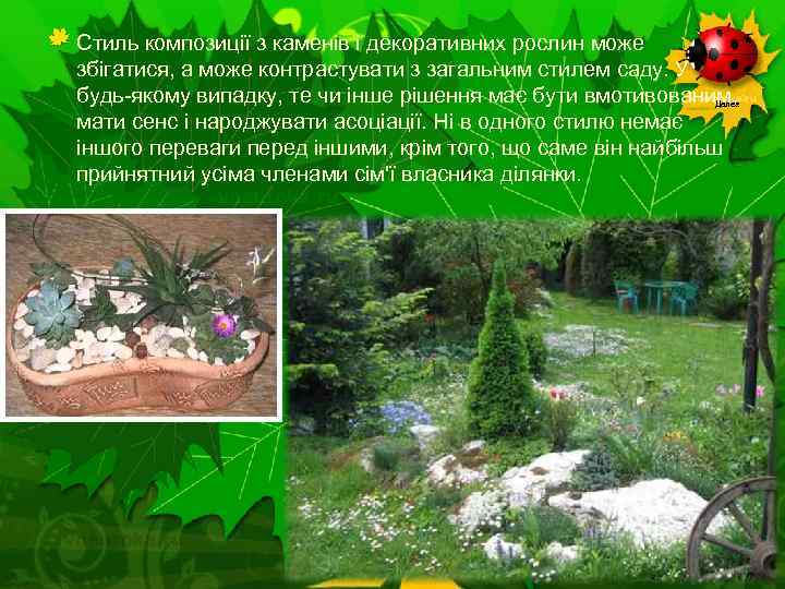 Стиль композиції з каменів і декоративних рослин може збігатися, а може контрастувати з загальним