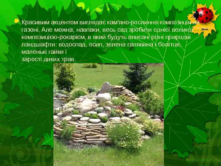 Красивим акцентом виглядає кам'яно-рослинна композиція на газоні. Але можна, навпаки, весь сад зробити однієї