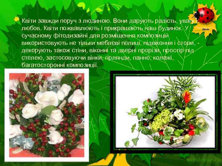 Квіти завжди поруч з людиною. Вони дарують радість, увагу і любов. Квіти пожвавлюють і