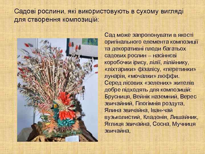 Садові рослини, які використовують в сухому вигляді для створення композицій: Сад може запропонувати в