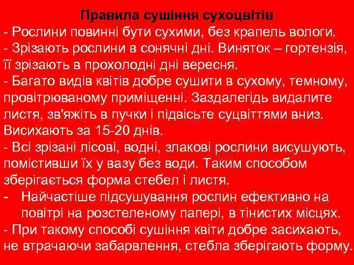 Правила сушіння сухоцвітів - Рослини повинні бути сухими, без крапель вологи. - Зрізають рослини