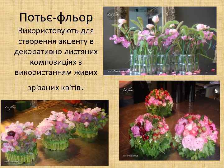 Потьє-фльор Використовують для створення акценту в декоративно листяних композиціях з використанням живих зрізаних квітів.