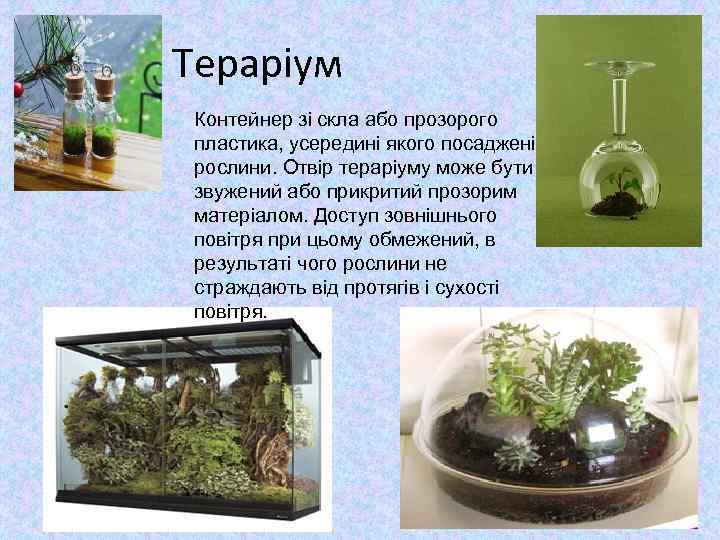 Тераріум Контейнер зі скла або прозорого пластика, усередині якого посаджені рослини. Отвір тераріуму може