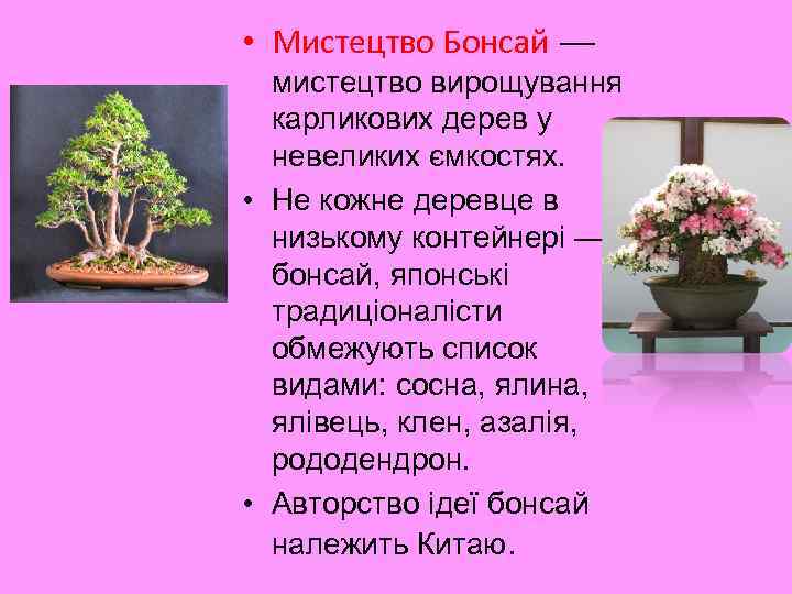  • Мистецтво Бонсай — мистецтво вирощування карликових дерев у невеликих ємкостях. • Не