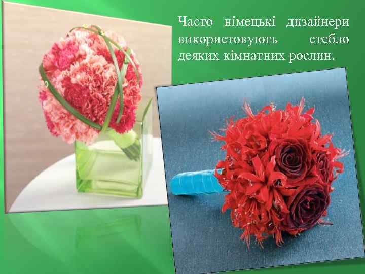 Часто німецькі дизайнери використовують стебло деяких кімнатних рослин. 