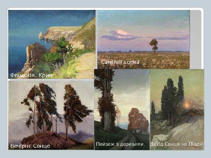 Самітня сосна Феодосія. Крим Вечірнє Сонце Пейзаж з деревами Захід Сонця на Півдні 