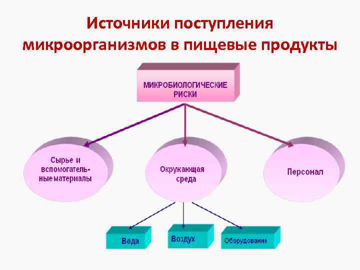 Источники поступления микроорганизмов в пищевые продукты 