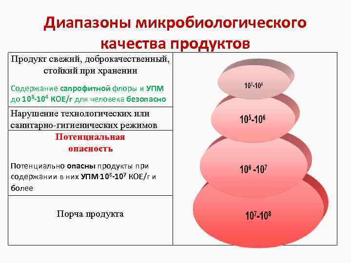 Диапазоны микробиологического качества продуктов Продукт свежий, доброкачественный, стойкий при хранении Содержание сапрофитной флоры и