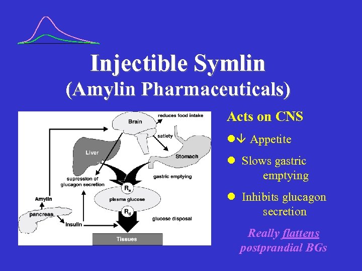 Injectible Symlin (Amylin Pharmaceuticals) Acts on CNS l Appetite l Slows gastric emptying l