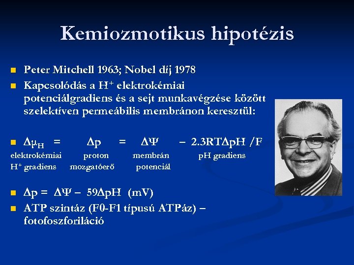 Kemiozmotikus hipotézis n n Peter Mitchell 1963; Nobel díj 1978 Kapcsolódás a H+ elektrokémiai