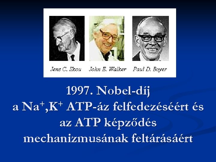 1997. Nobel-díj +, K+ ATP-áz felfedezéséért és a Na az ATP képződés mechanizmusának feltárásáért