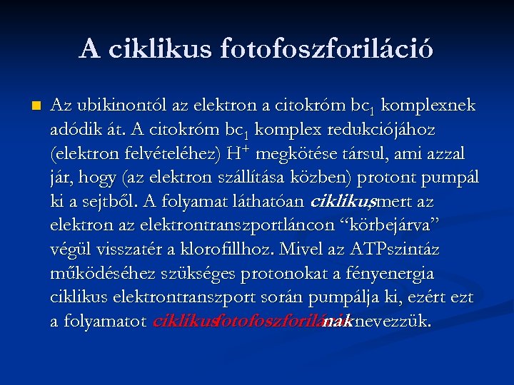 A ciklikus fotofoszforiláció n Az ubikinontól az elektron a citokróm bc 1 komplexnek adódik