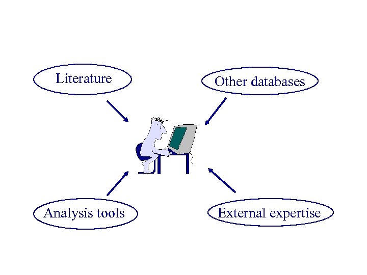 Literature Analysis tools Other databases External expertise 