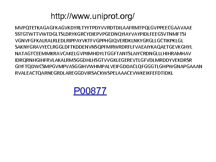 http: //www. uniprot. org/ MVPQTETKAGAGFKAGVKDYRLTYYTPDYVVRDTDILAAFRMTPQLGVPPEECGAAVAAE SSTGTWTTVWTDGLTSLDRYKGRCYDIEPVPGEDNQYIAYVAYPIDLFEEGSVTNMFTSI VGNVFGFKALRALRLEDLRIPPAYVKTFVGPPHGIQVERDKLNKYGRGLLGCTIKPKLGL SAKNYGRAVYECLRGGLDFTKDDENVNSQPFMRWRDRFLFVAEAIYKAQAETGEVKGHYL NATAGTCEEMMKRAVCAKELGVPIIMHDYLTGGFTANTSLAIYCRDNGLLLHIHRAMHAV IDRQRNHGIHFRVLAKALRMSGGDHLHSGTVVGKLEGEREVTLGFVDLMRDDYVEKDRSR GIYFTQDWCSMPGVMPVASGGIHVWHMPALVEIFGDDACLQFGGGTLGHPWGNAPGAAAN RVALEACTQARNEGRDLAREGGDVIRSACKWSPELAAACEVWKEIKFEFDTIDKL P 00877