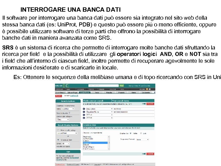 INTERROGARE UNA BANCA DATI Il software per interrogare una banca dati può essere sia