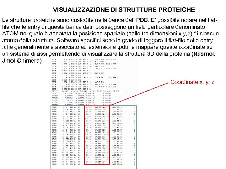 VISUALIZZAZIONE DI STRUTTURE PROTEICHE Le strutture proteiche sono custodite nella banca dati PDB. E’