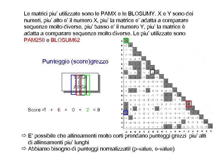 Le matrici piu’ utilizzate sono le PAMX e le BLOSUMY. X e Y sono