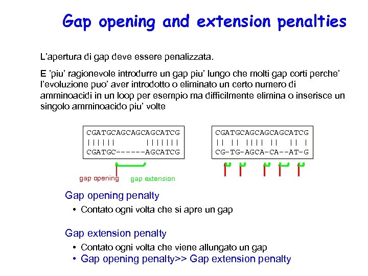 Gap opening and extension penalties L’apertura di gap deve essere penalizzata. E ’piu’ ragionevole