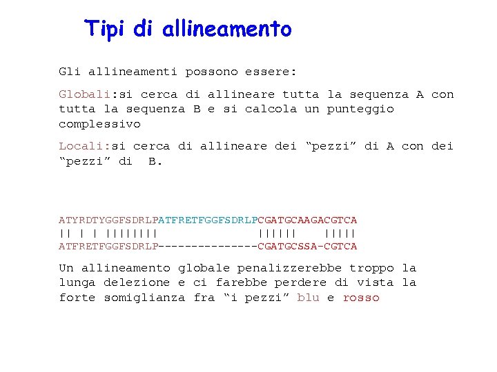 Tipi di allineamento Gli allineamenti possono essere: Globali: si cerca di allineare tutta la