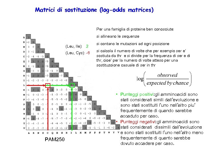 Matrici di sostituzione (log-odds matrices) Per una famiglia di proteine ben conosciute: si allineano