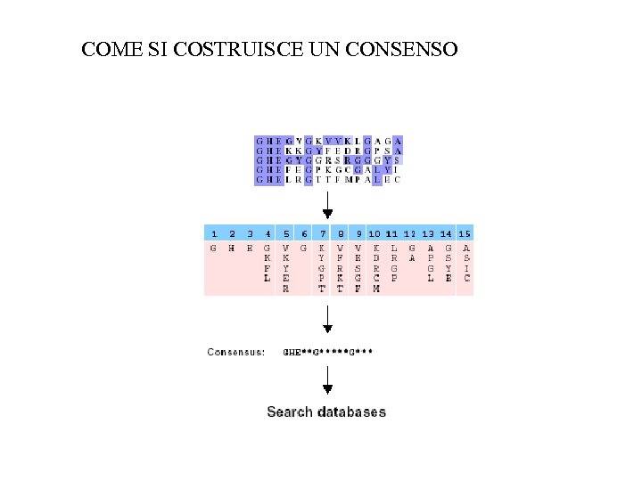 COME SI COSTRUISCE UN CONSENSO 