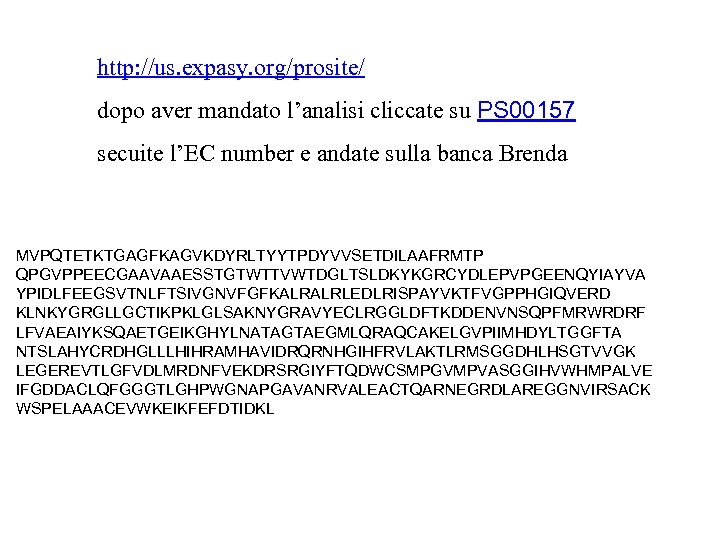 http: //us. expasy. org/prosite/ dopo aver mandato l’analisi cliccate su PS 00157 secuite l’EC