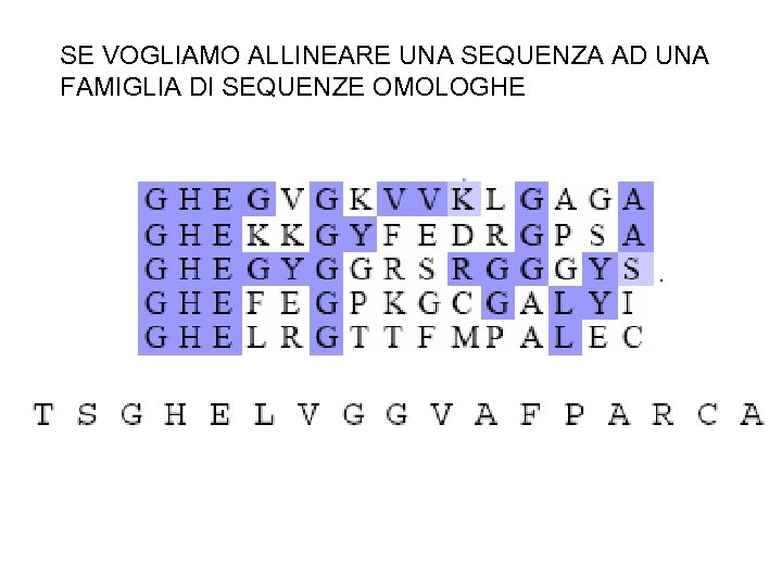 SE VOGLIAMO ALLINEARE UNA SEQUENZA AD UNA FAMIGLIA DI SEQUENZE OMOLOGHE 