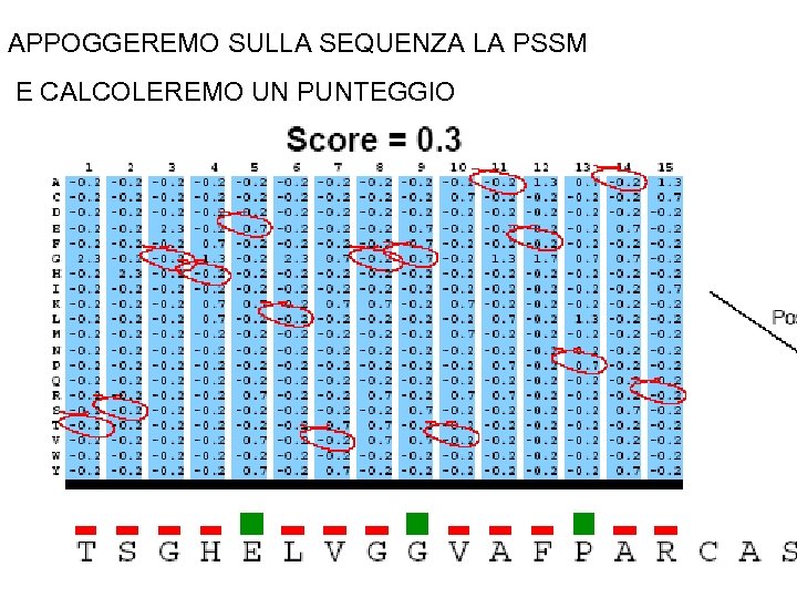 APPOGGEREMO SULLA SEQUENZA LA PSSM E CALCOLEREMO UN PUNTEGGIO 