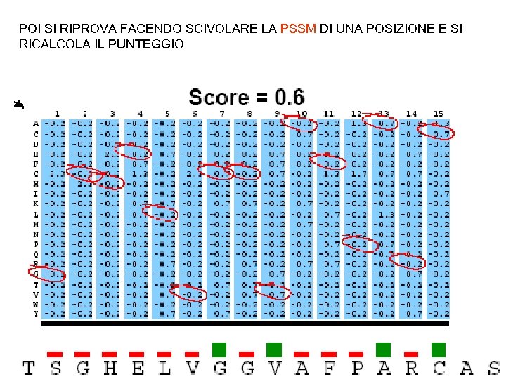 POI SI RIPROVA FACENDO SCIVOLARE LA PSSM DI UNA POSIZIONE E SI RICALCOLA IL