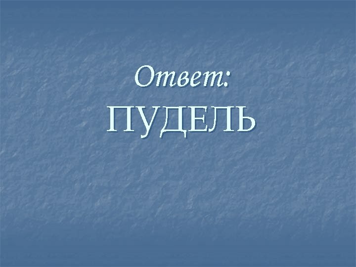 Ответ: ПУДЕЛЬ 