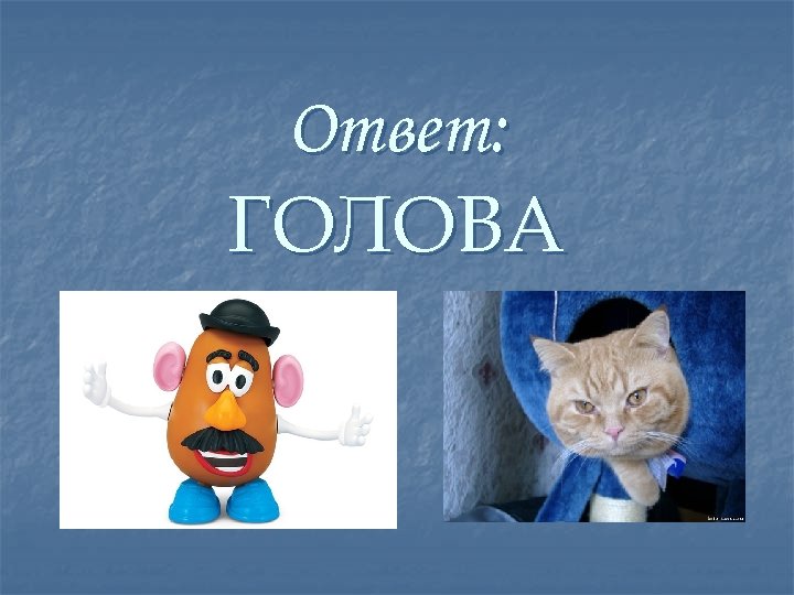 Ответ: ГОЛОВА 