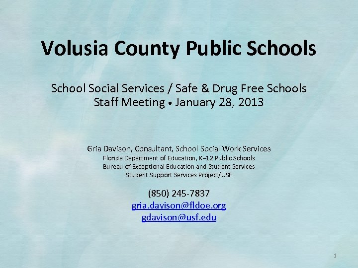 Volusia County Public Schools School Social Services / Safe & Drug Free Schools Staff