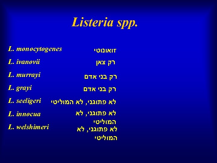 . Listeria spp זואונוטי L. monocytogenes רק צאן L. ivanovii רק בני אדם L.