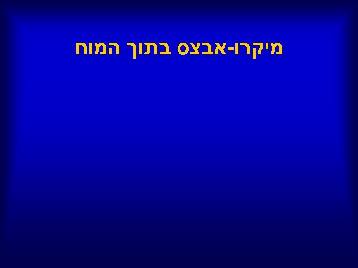  מיקרו-אבצס בתוך המוח 