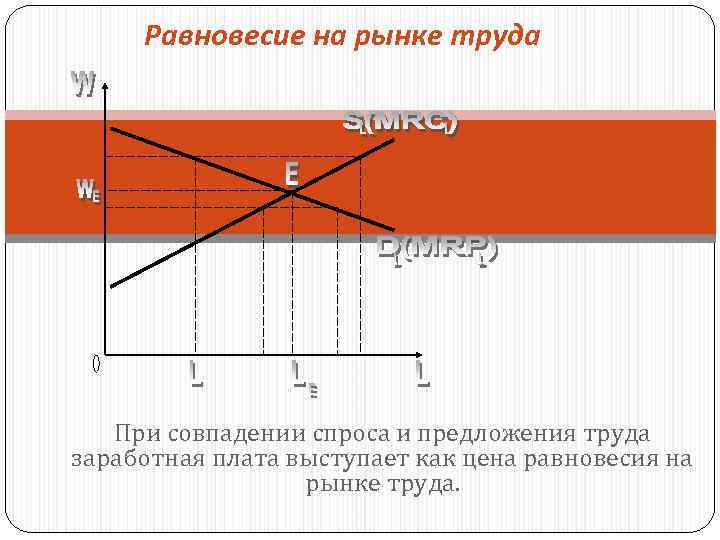 Равновесие на рынке труда При совпадении спроса и предложения труда заработная плата выступает как