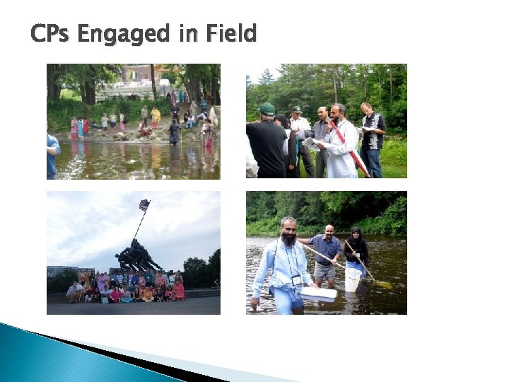 CPs Engaged in Field 