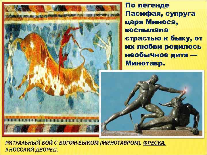 По легенде Пасифая, супруга царя Миноса, воспылала страстью к быку, от их любви родилось