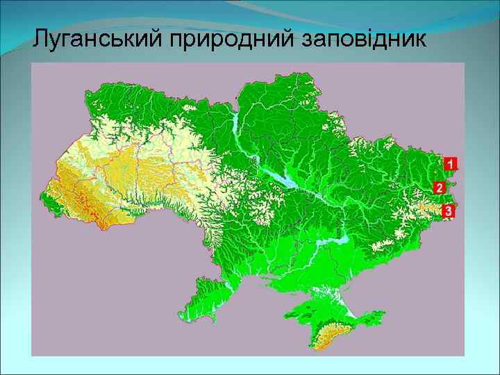 Луганський природний заповідник 