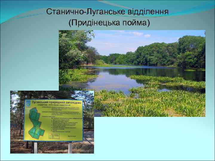 Станично-Луганське відділення (Придінецька пойма) 