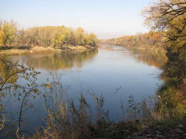 Станично-Луганське відділення (Придінецька пойма) 