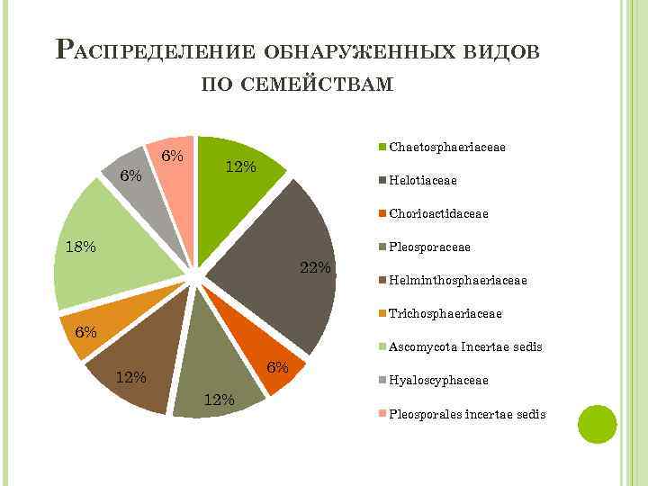 РАСПРЕДЕЛЕНИЕ ОБНАРУЖЕННЫХ ВИДОВ ПО СЕМЕЙСТВАМ 6% 6% Chaetosphaeriaceae 12% Helotiaceae Chorioactidaceae 18% Pleosporaceae 22%